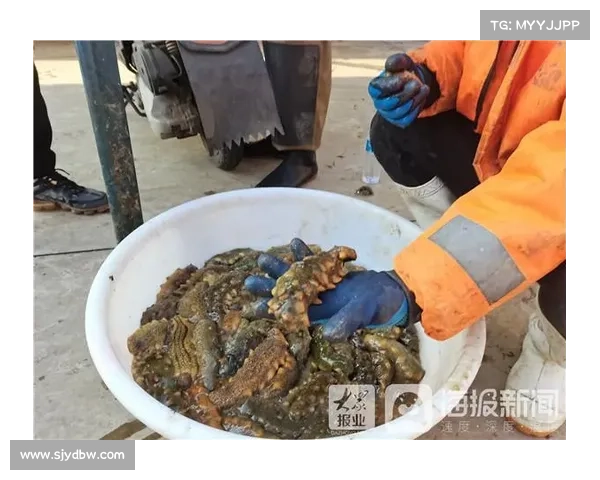 浪中之渔,指尖上的捕捞奇遇 浪中之渔,指尖上的捕捞奇遇